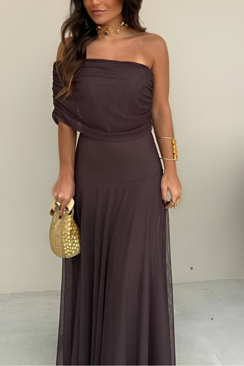 Toledo One-Shoulder Mesh Maxi Dress
